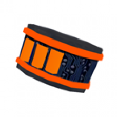 Scorpio's Wristband Grade 3